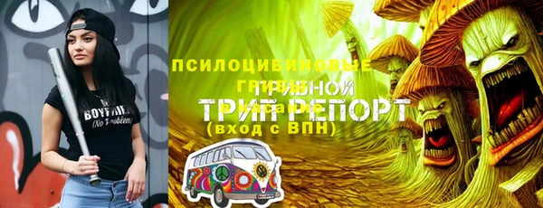 бутират Надым