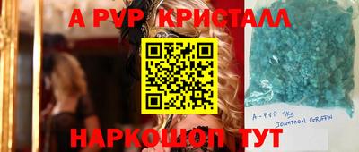 сатива Нальчик