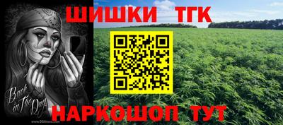 сатива Нальчик