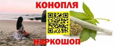 сатива Нальчик