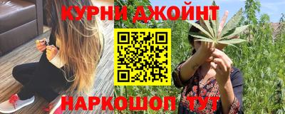 сатива Нальчик
