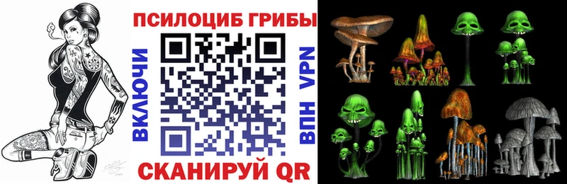 OMG как войти  Уссурийск  это телеграм  Псилоцибиновые грибы мицелий 