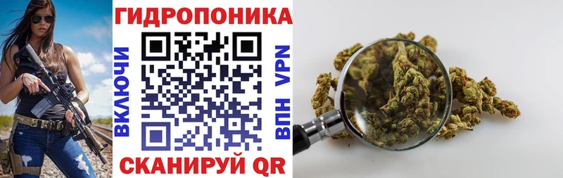 Бошки Шишки марихуана Уссурийск